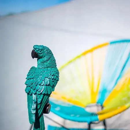 אוהל מפואר Noct Enbulle *