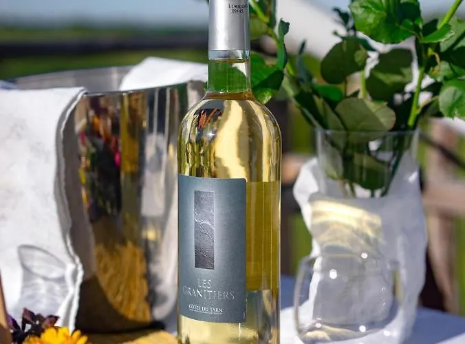 Luksusowy namiot Noct Enbulle Cabrerets