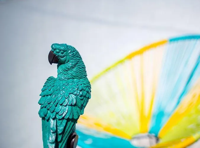 Luksustelt Noct Enbulle *